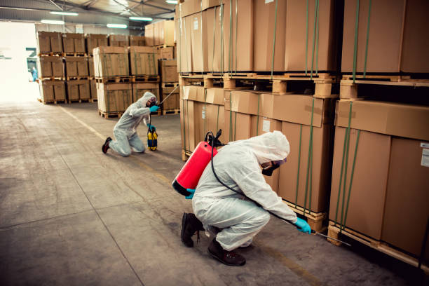 Best Bed Bug Extermination  in Citronelle, AL