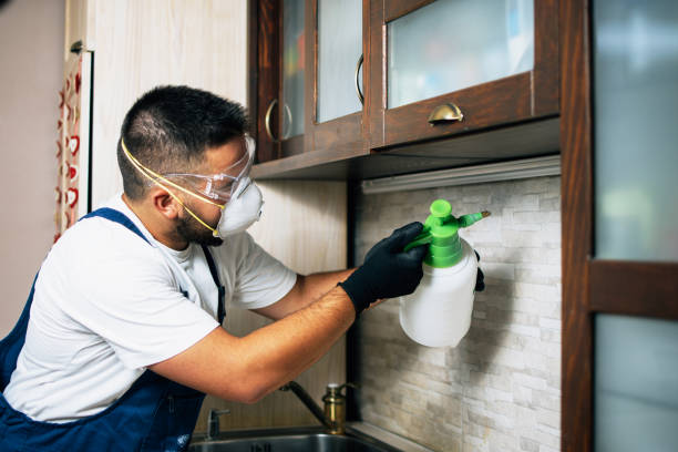 Best Pest Control Near Me in Citronelle, AL
