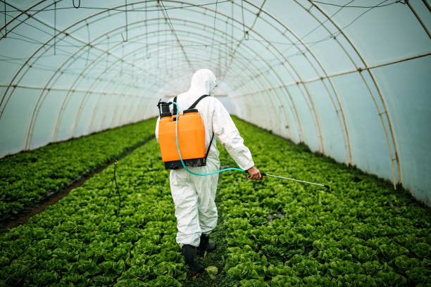 Best Affordable Pest Control Services  in Citronelle, AL