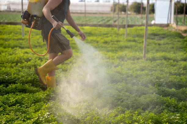 Best Pest Prevention Services  in Citronelle, AL