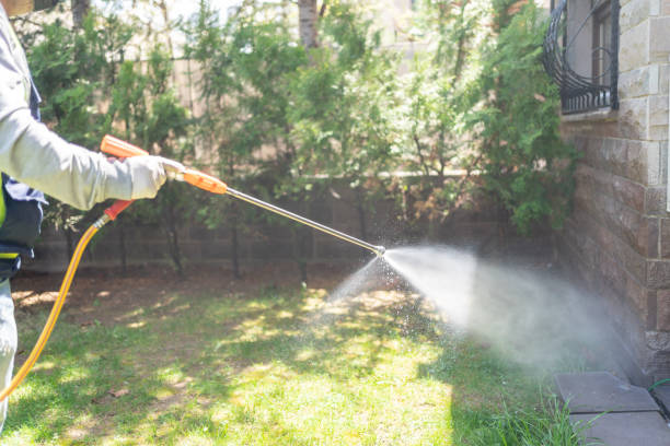 Reliable Citronelle, AL Pest Control Solutions