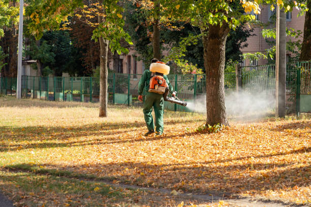 Best Local Pest Control Services  in Citronelle, AL