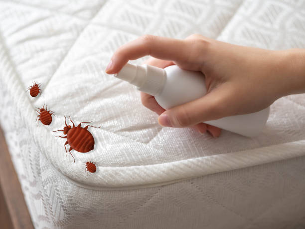 Best Residential Pest Control  in Citronelle, AL