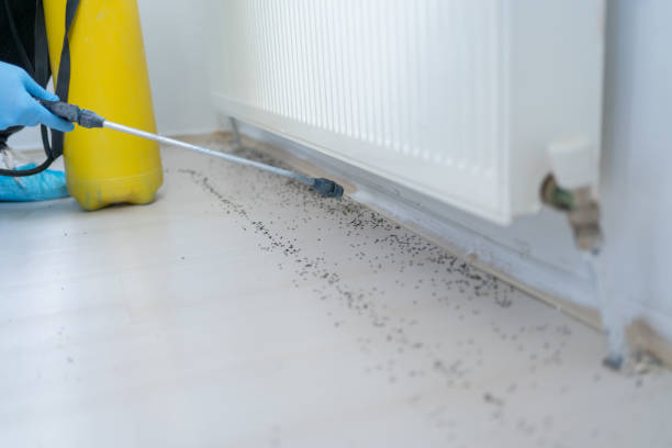 Best Best Pest Control Companies  in Citronelle, AL