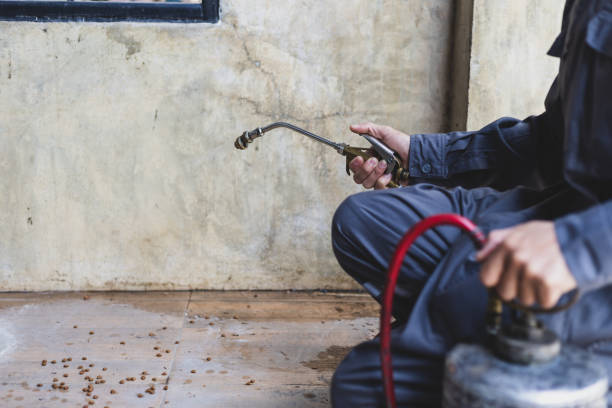 Best Ant Control Services  in Citronelle, AL