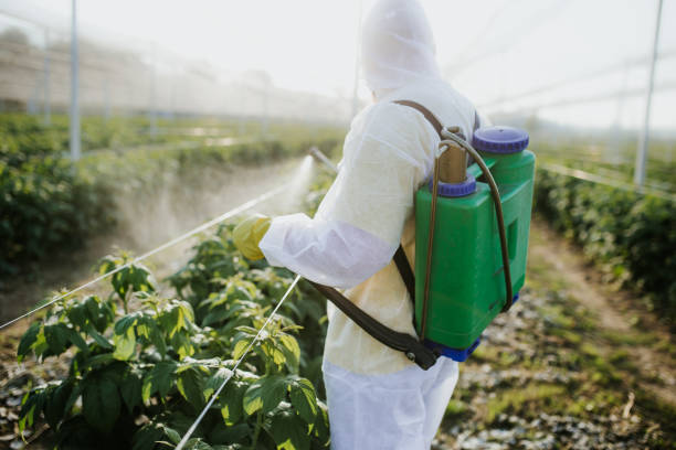 Best Bed Bug Extermination  in Citronelle, AL